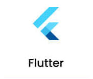 Flutter Developers in Hyderabad by Innovexa