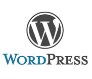 Wordpress Designers in Hyderabad, Innovexa
